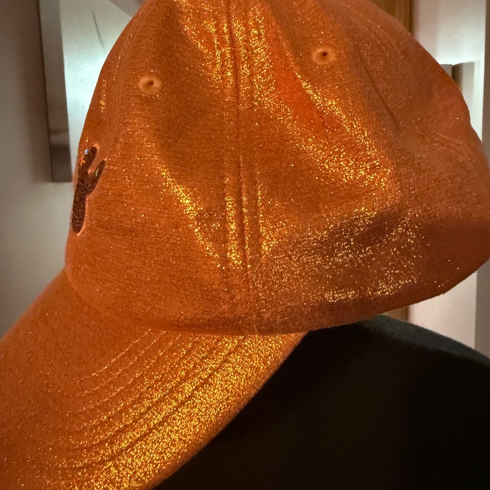 Walt Disney World Cap - Picture 2 of 5